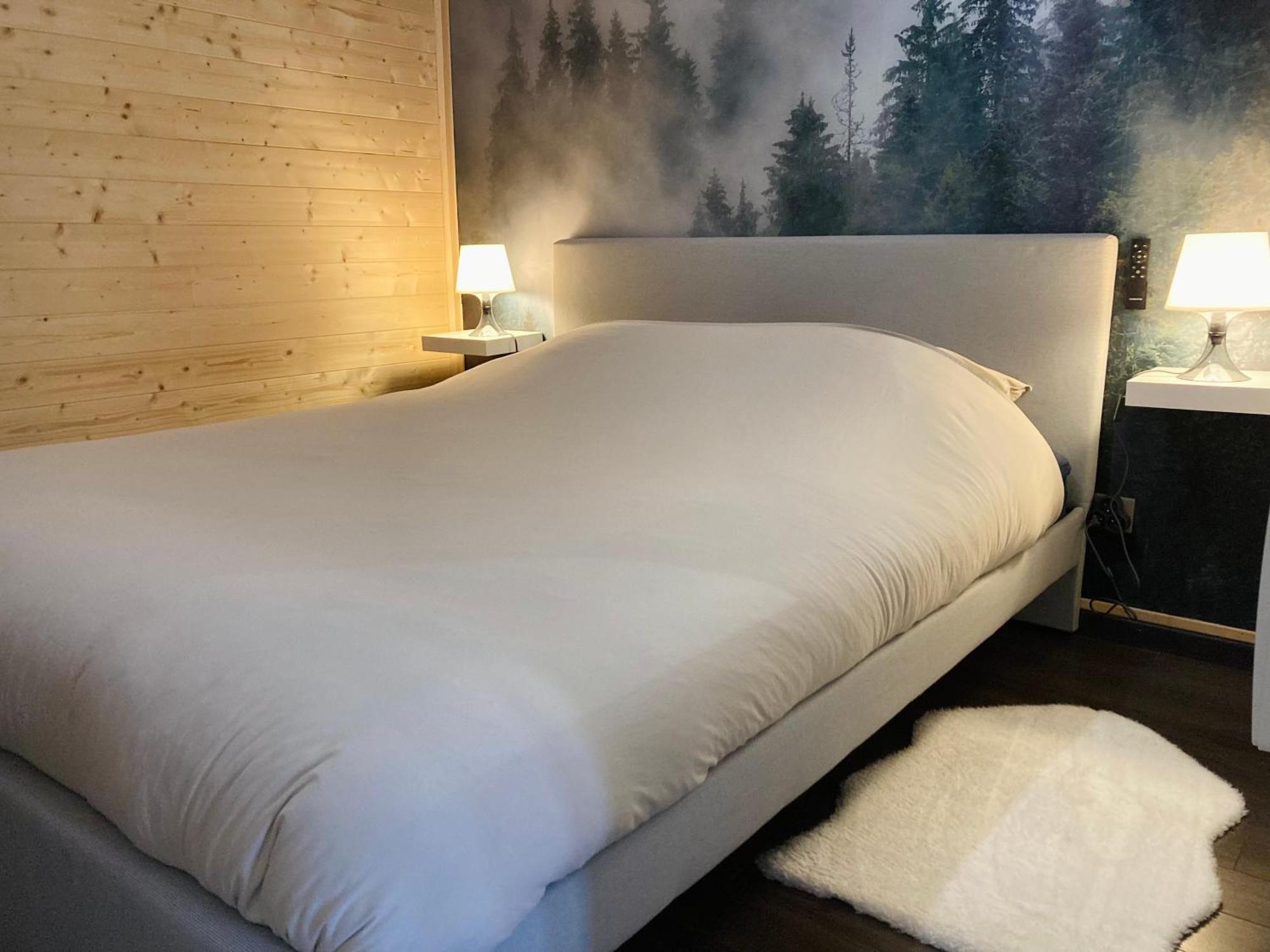 Le Nivolet, Cosy Appartement Chambéry Dış mekan fotoğraf